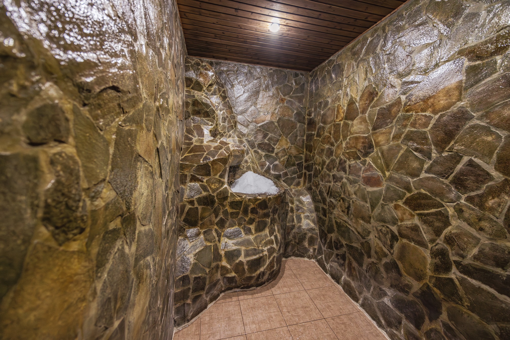 601336250_1260420295896555_1928971592812861731_n