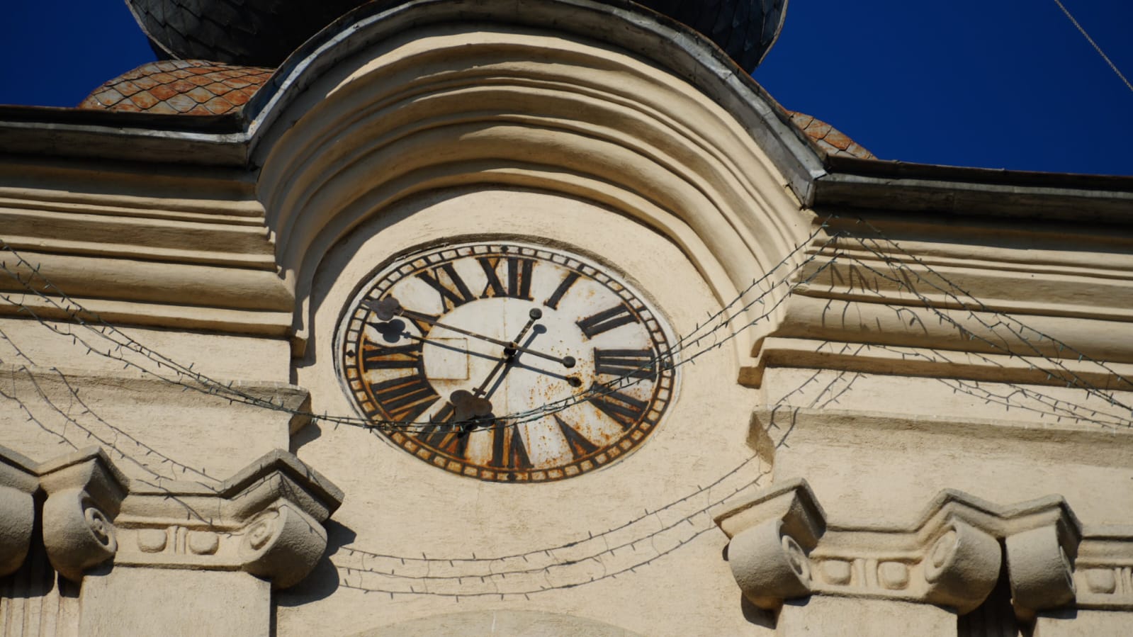 WhatsApp Image 2025-12-11 at 13.16.29